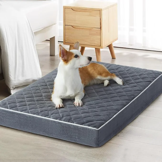 Elite WNPETHOME Orthopedic Giant Dog Beds Large Sized Dog Waterproof Extra Large World-Class