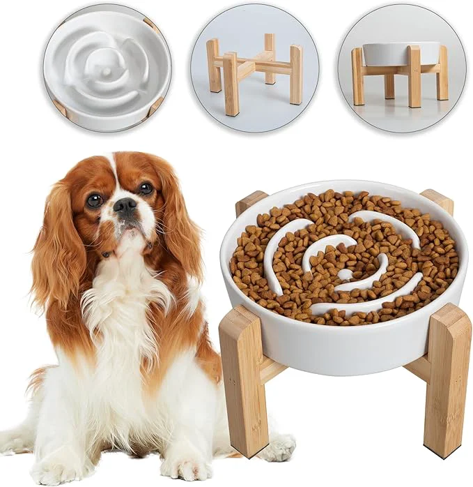Consistent d Slow Feeder Dog Bowl – Ceramic Maze Food Dish with Bamboo Stand – Raised Feeding Bowl for Fast Eaters – I for Small and Medium Dogs – White – 6.7 inchAbout ThisOverview Premium Material