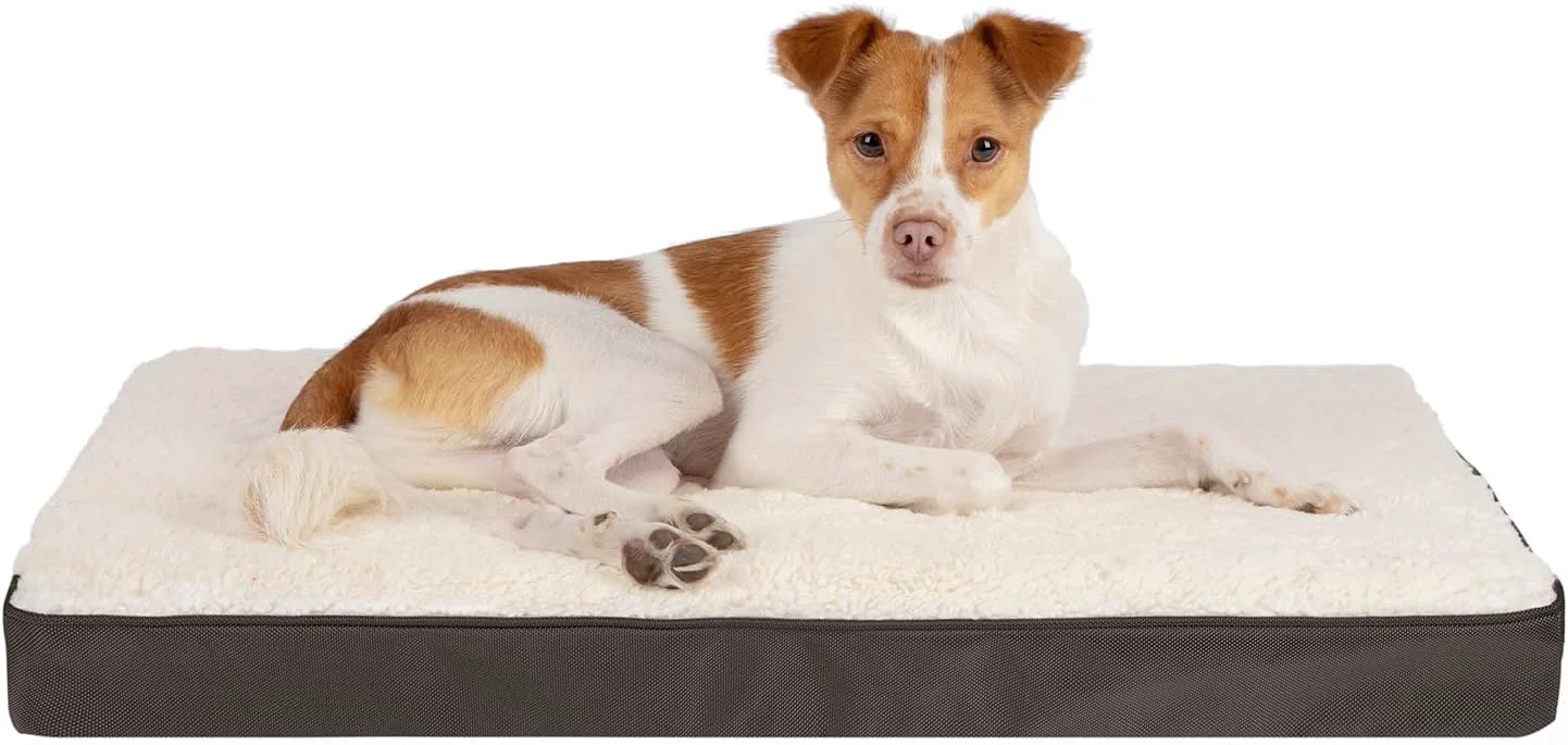 Certified Pet Supplies Cute Dog Crate Mat Flat Bed with Waterproof Exterior Thick Orthopedic Egg Foam Mattress and Soft Sherpa Fleece Cover for Small Medium and Large Breeds – Brown 35X22X4 Smart