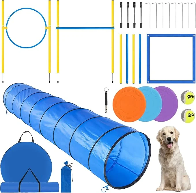 Trendy RAIN QUEEN Dog Agility Course Backyard Set Sophisticated