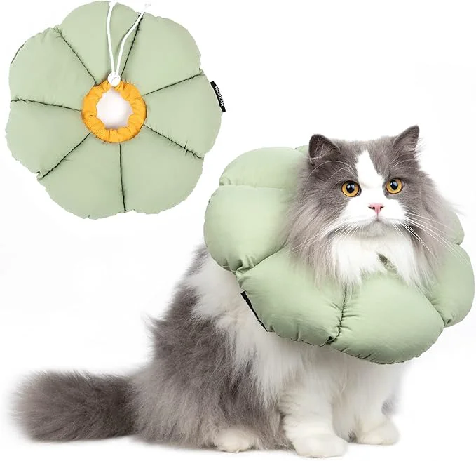 Fine Cat Cone Collar Cute Waterproof Cat Recovery Collar Anti-Bite Lick Wound Healing Safety Elizabethan e Collar for Cats Green Flower All-Season StyleAbout ThisOverview Relaxed