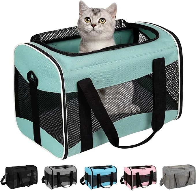Reliable Small Animal Travel Carrier for Hedgehog Rat Parrot Bird Guinea Pig Lizards Carrier Soft Sided Travel Carrier Portable Guinea Pig Up to 10 Lbs 15 10 10 Green About ThisOverview Enhanced