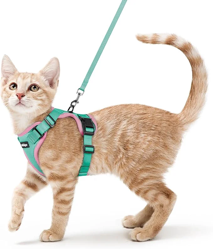 Fine rabbitgoo Cat Harness and Leash for Walking Escape Proof Soft Adjustable Vest Harnesses for Cats Easy Control Breathable Reflective Strips Jacket Green Pink SAbout ThisOverview Trendy