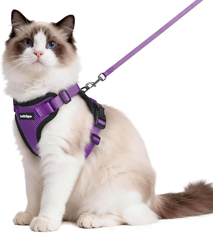 Lightweight rabbitgoo Cat Harness and Leash for Walking Escape Proof Soft Adjustable Vest Harnesses for Cats Easy Control Breathable Reflective Strips Jacket Purple MAbout ThisOverview Optimized