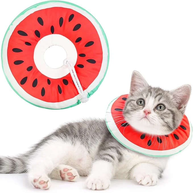 Artisan Kitten Cones After Surgery Extra Small Waterproof Cone Collar Soft to Stop Licking Neck Elizabethan Kitten e Collar for Recovery Wound Healing Safety xs Small Cat Donut ConeAbout ThisOverview Efficient
