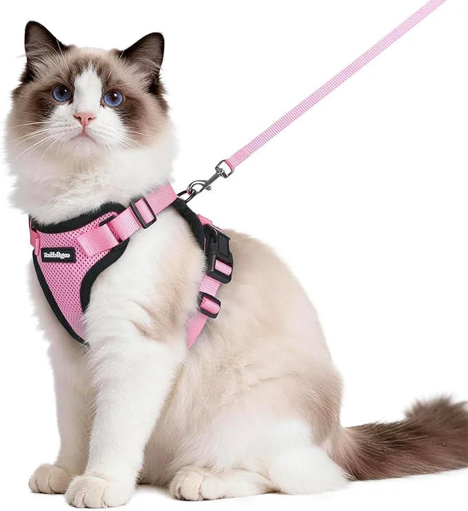 Excellent rabbitgoo Cat Harness and Leash for Walking Escape Proof Soft Adjustable Vest Harnesses for Cats Easy Control Breathable Reflective Strips Jacket Pink MAbout ThisOverview Outstanding