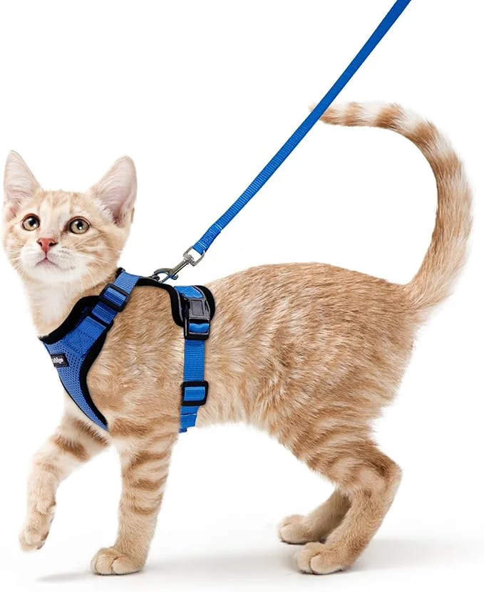 Traditional rabbitgoo Cat Harness and Leash for Walking Escape Proof Soft Adjustable Vest Harnesses for Cats Easy Control Breathable Reflective Strips Jacket Navy Blue SAbout ThisOverview Quality