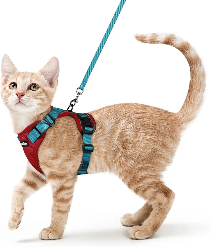 Outstanding rabbitgoo Cat Harness and Leash for Walking Escape Proof Soft Adjustable Vest Harnesses for Cats Easy Control Breathable Reflective Strips Jacket Red Teal SAbout ThisOverview Detailed