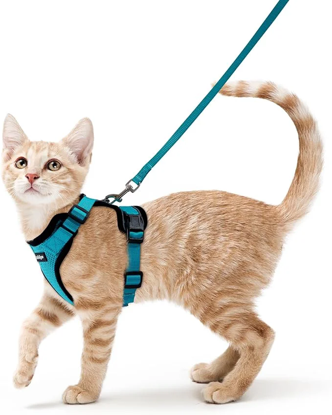 Exceptional rabbitgoo Cat Harness and Leash for Walking Escape Proof Soft Adjustable Vest Harnesses for Cats Easy Control Breathable Reflective Strips Jacket Teal SAbout ThisOverview Trendy