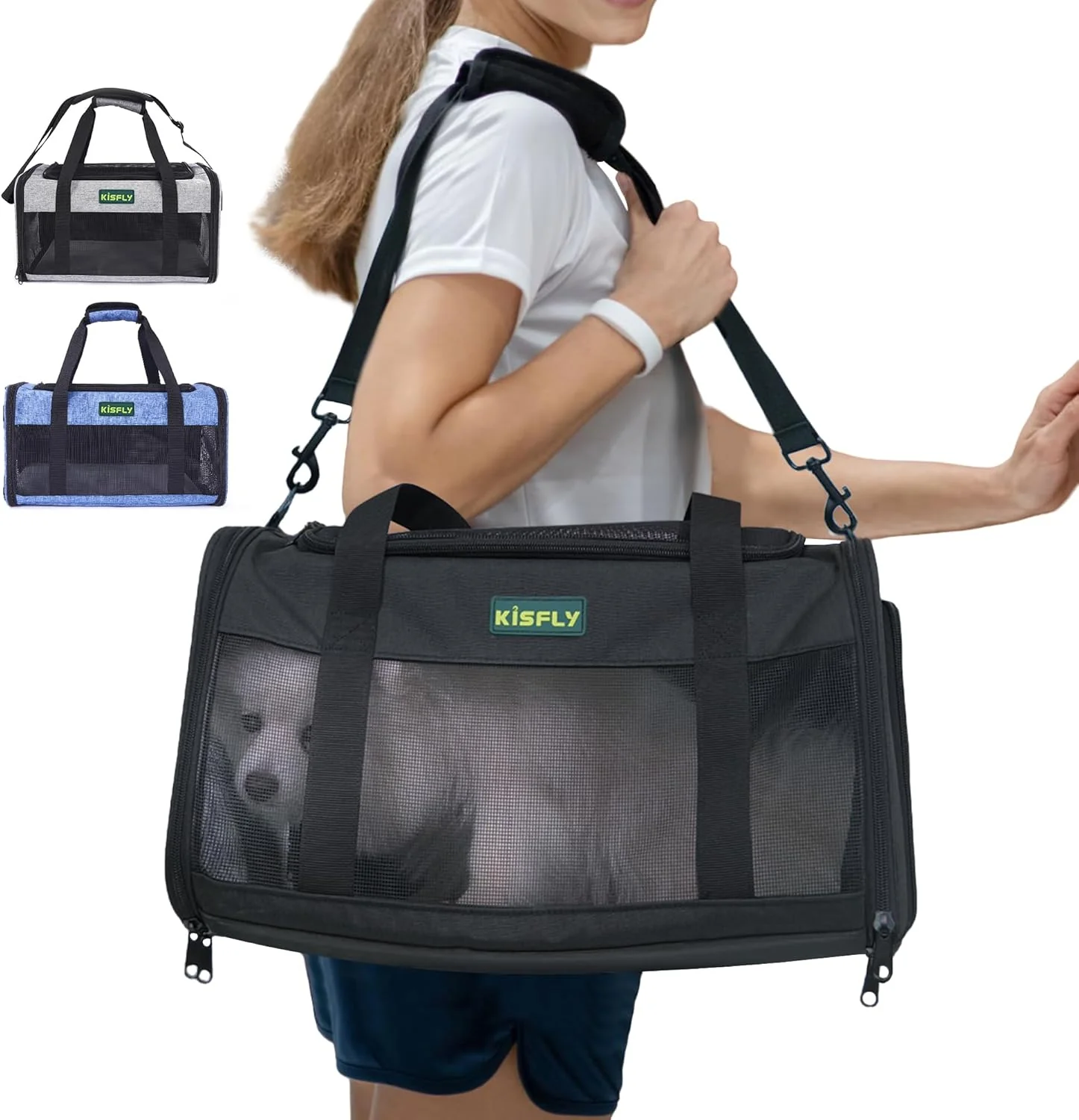 Consistent Airline Cat and Small Dog Carrier – Soft-Sided Foldable Under-Seat Travel Bag for Pets up to 12 lbs 17 x11 x9.5 Top-Loading Scratch-Resistant Mesh Black Quality