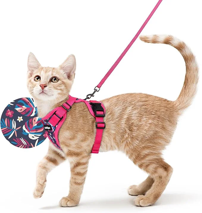 Natural rabbitgoo Cat Harness and Leash for Walking Escape Proof Soft Adjustable Vest Harnesses for Cats Easy Control Breathable Reflective Strips Jacket Coconut Fuchsia XSAbout ThisOverview