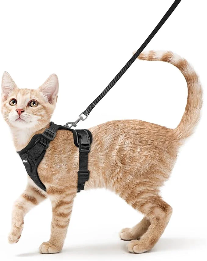 Traditional rabbitgoo Cat Harness and Leash for Walking Escape Proof Soft Adjustable Vest Harnesses for Cats Easy Control Breathable Reflective Strips Jacket Black XSAbout ThisOverview Exceptional