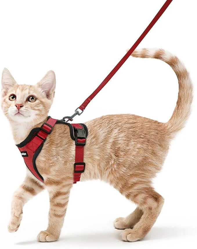 Genuine rabbitgoo Cat Harness and Leash for Walking Escape Proof Soft Adjustable Vest Harnesses for Cats Easy Control Breathable Reflective Strips Jacket Red XSAbout ThisOverview Comfortable