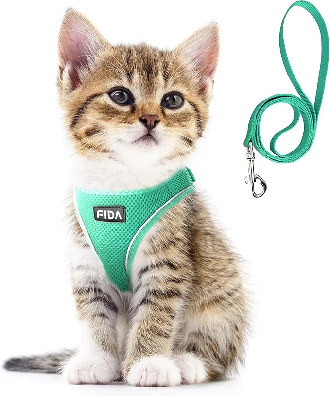 Stylish Fida Cat Harness and Leash Set for Walking Kitten and Puppy Escape Proof Kitten Harness with Breathable Lightweight Soft Mesh Adjustable Reflective Step-in Design. XXXS Green About ThisOverview Exclusive