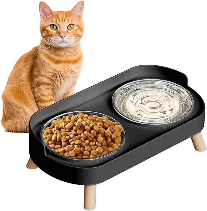 Healthy d Cat Bowl Raised Cat Food and Water Bowl Set for Indoor Cats Splash Proof with 4 Stainless Steel Pet Food Bowls for Cats and Puppies Whisker Fatigue and Dishwasher Safe – BlackAbout ThisOverview Functional