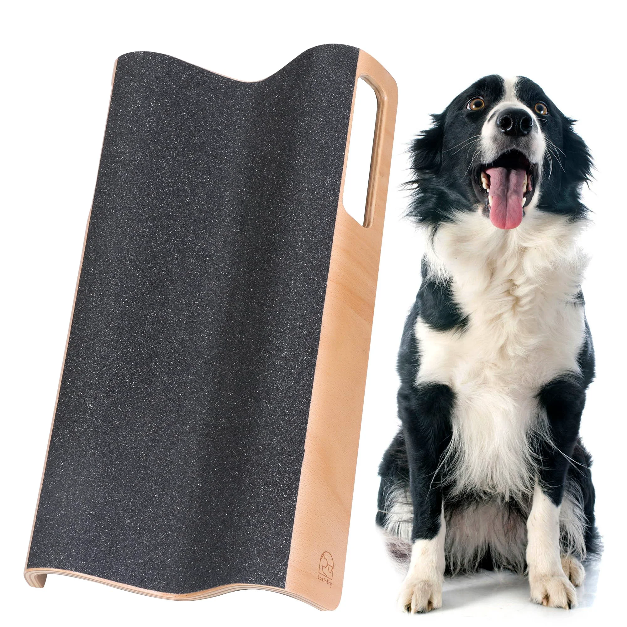Reliable LovIntry M-Shaped Dog Scratch Pad for Nails – Easy At-Home Nail Filing L Smart