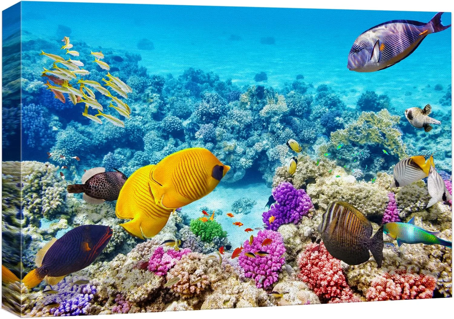 User-Friendly wall26 Canvas Print Wall Art Vibrant Teal Underwater Fish Coral Reef Nature Animals Photography ism Rustic Scenic Landscape Wilderness Earth Colorful for Living Room Bedroom Office – 12 x18 Next-Generation