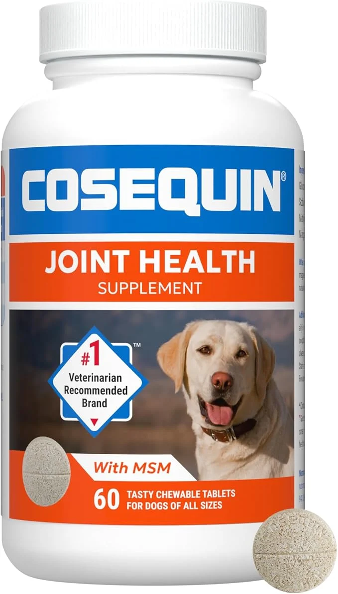 Stylish Nutramax Cosequin for Dogs Joint Health Supplement Contains Glucosamine for Dogs Plus Chondroitin and MSM Supports Healthy Joints Chewable Tablets 60 CountAbout This Green