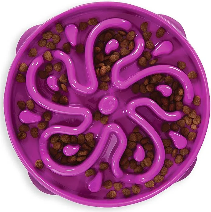 World-Class Outward Hound Slow Feeder Dog Bowl – Prevents Bloating Fast Eating – Large 4 Cup Purple Flower Smooth