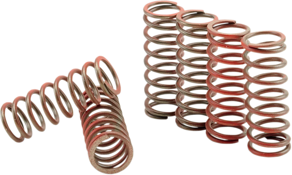 Professional HINSON RACING Clutch Spring Kit CS216-6-0315 Relaxed
