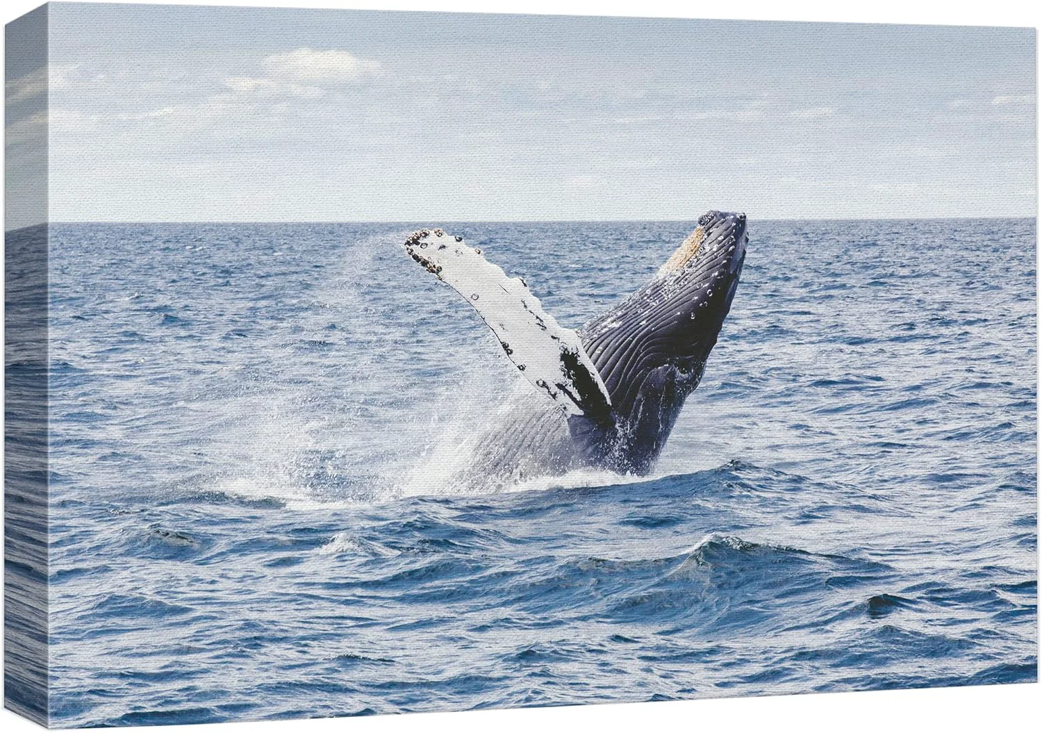 Natural wall26 Canvas Print Wall Art Tropical Ocean Sea Water Horizon Blue Whale Nature Animals Photography ism Rustic Scenic Landscape Wilderness Colorful for Living Room Bedroom Office – 24 x36 Healthy