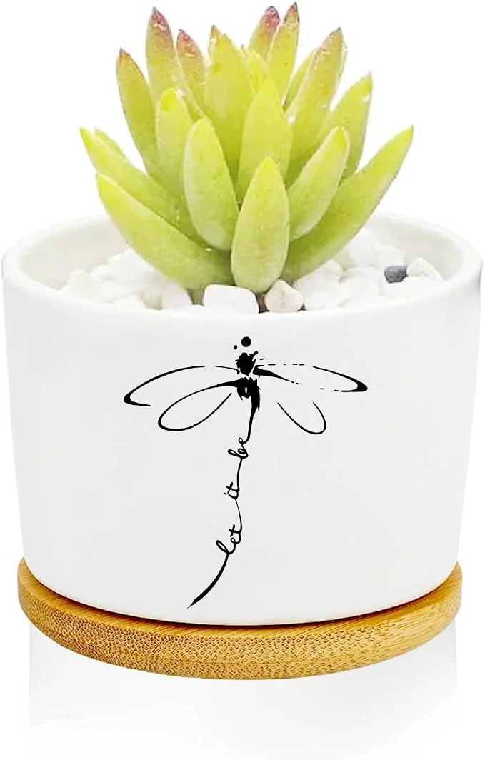 World-Class Window Garden Dragonfly Planter Pots Dragonfly Gifts Optimized