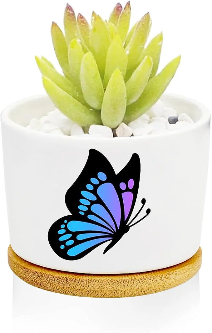 Original Design Window Garden Butterfly Planter Pots Butterfly Gifts High-Quality