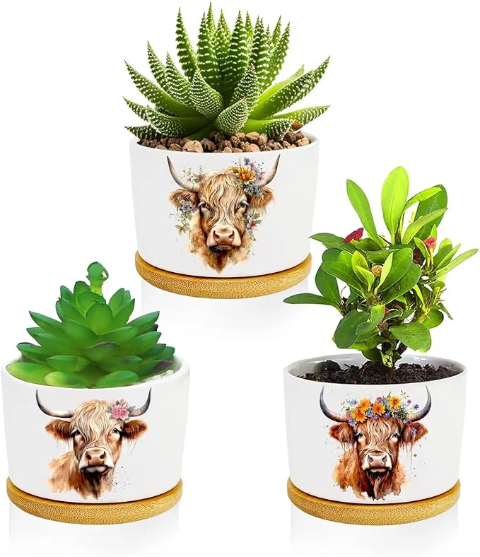 Elite Highland Cow Succulent Pots 3 Pack 3 Inch Succulent Planters Fine Crafted