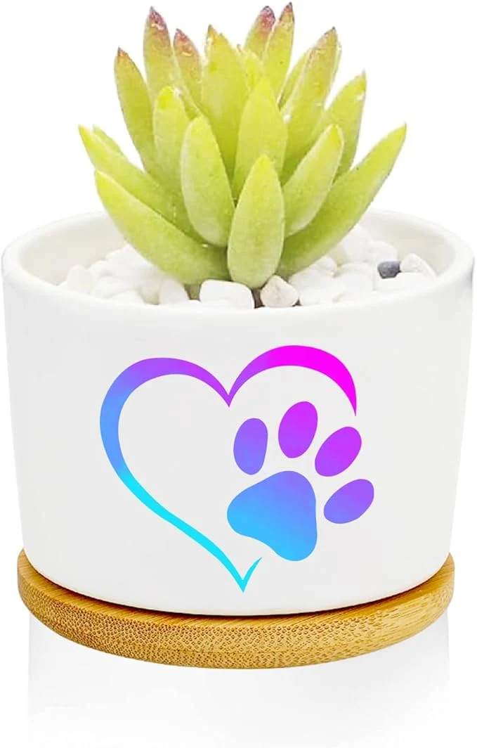 Refined Love Dog Claw Planter Pots Dog Loves Gifts Carefully Designed