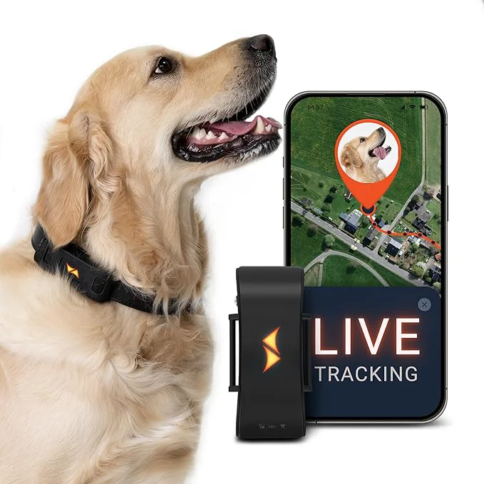 Long-Lasting PAJ GPS Dog Tracker – 4G -Time Tracking Runaway Alerts – Waterproof Exclusive