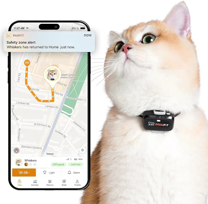 Dependable Pawfit Lite for Cats 4g GPS Tracker Ultra-Small Design -Time Tracking Green