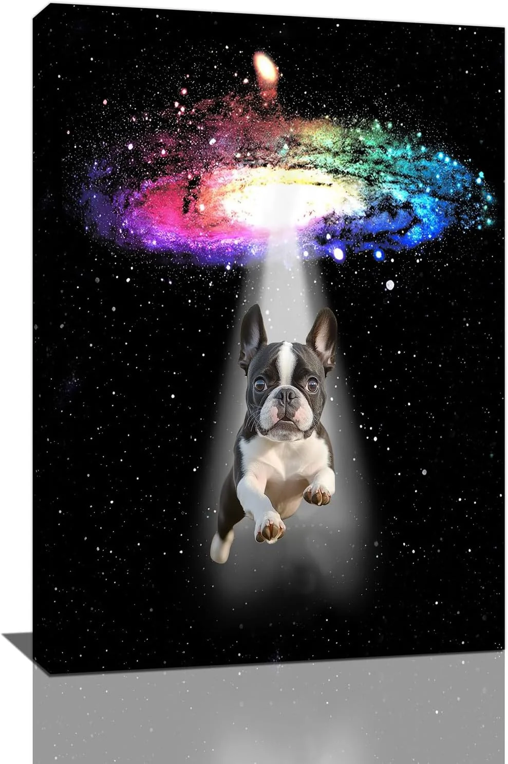 Trusted Funny Dog Wall Art Canvas Boston Terrier Wall Decor Prints Framed Painting Bulldog Galaxy Pictures Gifts Artwork for Bathroom 16 x24 First-Class