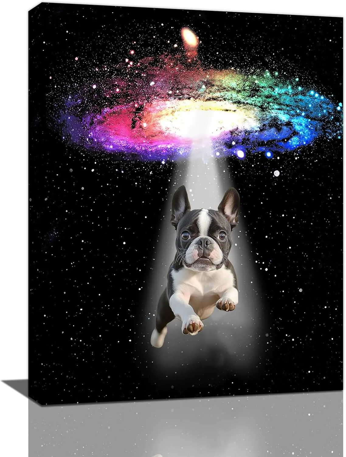 Classic Funny Dog Wall Art Canvas Boston Terrier Wall Decor Prints Framed Painting Bulldog Galaxy Pictures Gifts Artwork for Bathroom 16 x20 Certified