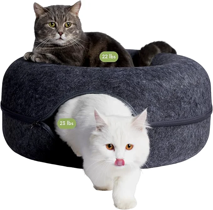 Stylish CATTASAURUS Peekaboo Cat Cave for Multiple Large Cats Up to 30-45 Lbs Scratch Detachable Washable Tunnel Bed Comfy Donut Cat Cave Dark Gray Large About ThisOverview Exclusive
