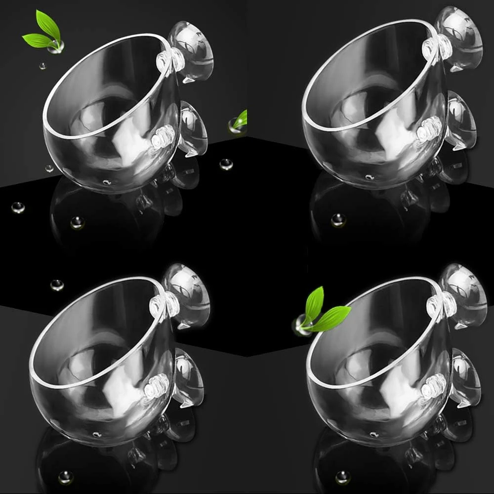 Trendy capetsma 4X Crystal Glass Aquarium Plant Pot Aquarium Aquatic Planter Red Shrimp Live Plants Fish Tank Glass Holder with 4X Suction Cups for Aquarium Fish Tank Decorations … 4 Pack … Dependable