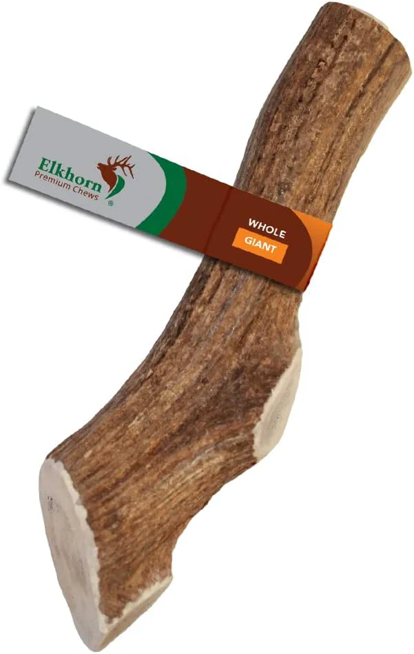 Stylish Giant Whole Single Pack for 75 lb Dogs Premium Grade Elk Antler for Dogs 1 Piece Sourced in The USAAbout This Fine Crafted
