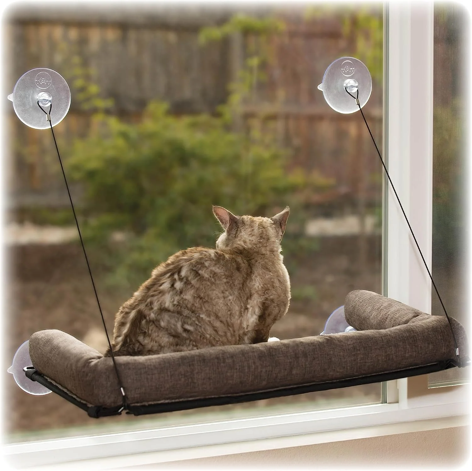 Enhanced K H Pet Products EZ Mount Bolster Cat Window Perch for Large Cats Sturdy Kitty Window Hammock Bed Steel Frame Sturdy Suction Cups Washable Shelf Covers Foldable – Fits 27 W X 23 H Glass Spaces Premium