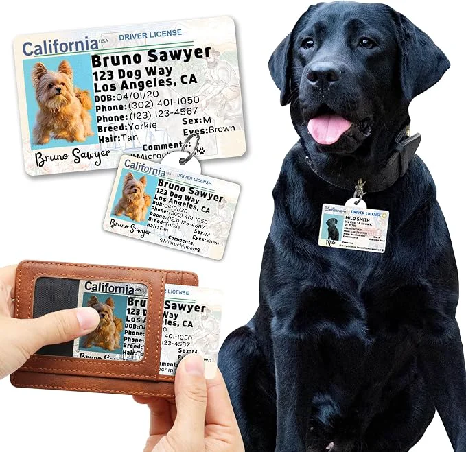 Fine Crafted PawFurEver Personalized Dog Driver License ID Tag First-Class