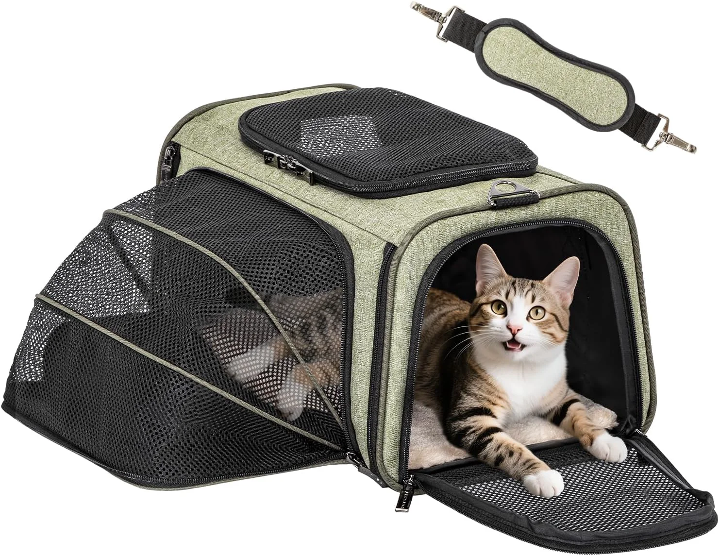 Consistent Petsfit Expandable Rabbit Carrier Small Cat Carrier Airline 16X10X9 Inches Soft-Sided Portable Small Animal Travel Bag for Kitten Puppy Bunny Guinea Pig Optimized