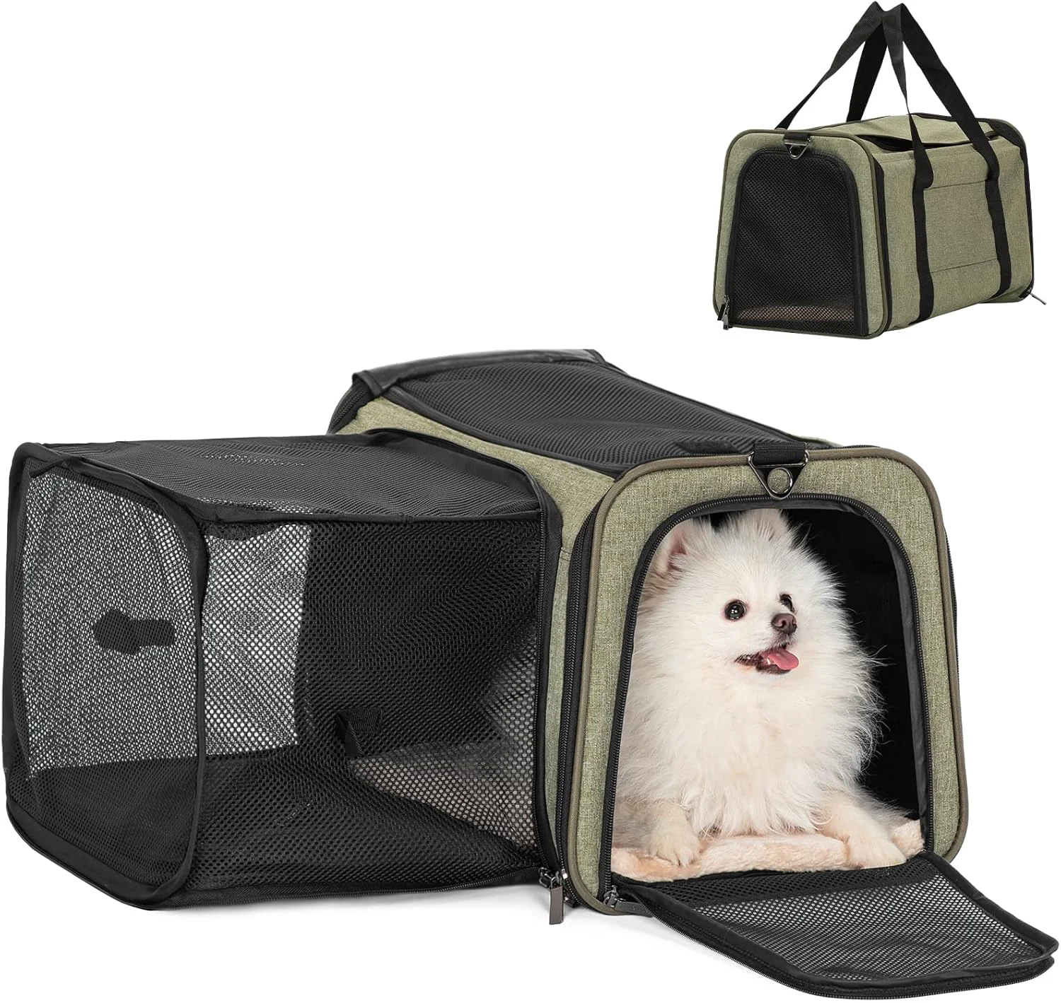 User-Friendly Petsfit Top Load Expandable Dog Carrier for Small Dog Medium Cat Or 2 Small Cats with Comfy Pad Escape Proof Easy Storage Washable Fit for Vet Visit and Outdoor 19 X12 X12 Green World-Class