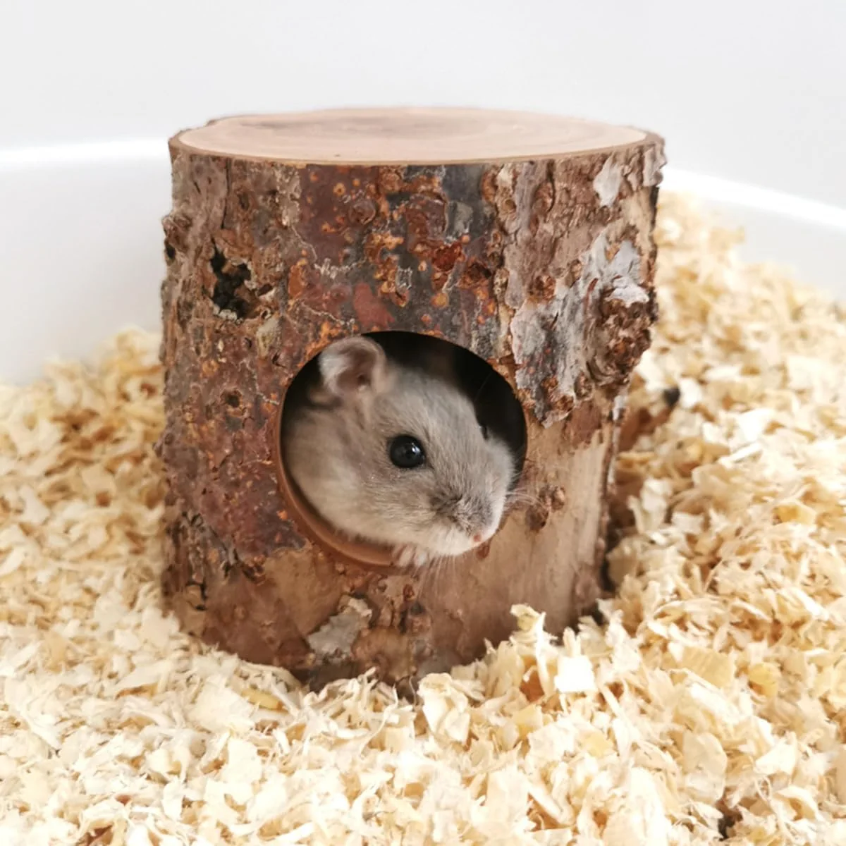 Detailed Habitat House Hideout for Hamster Mice Gerbils Mouse and Other Small Size Animal Pets Outstanding