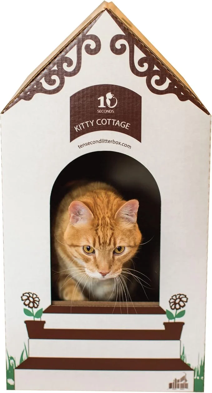 Traditional Disposable Ten Second Litter Boxes Professional