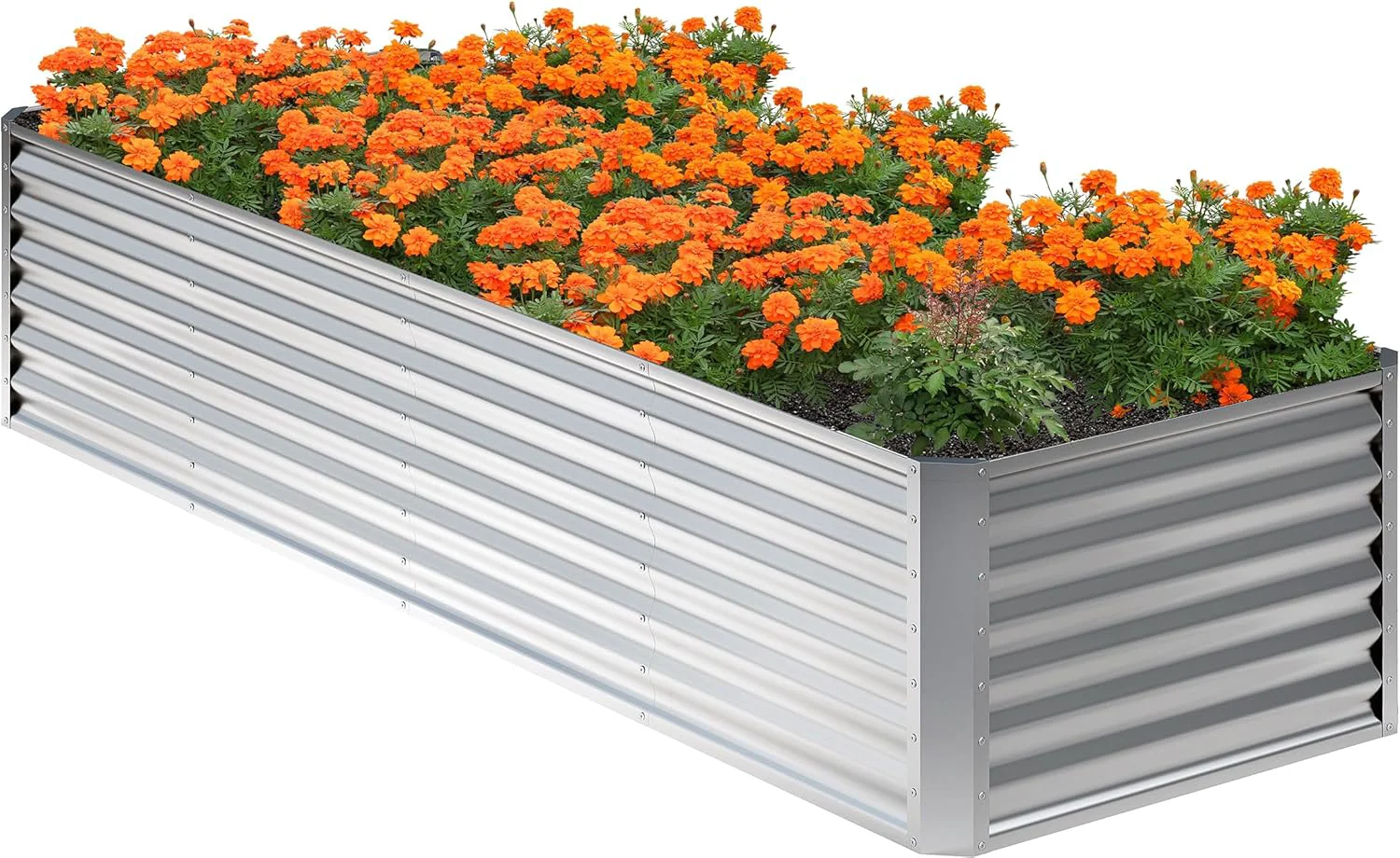 Authentic 8x2x2FT Galvanized Raised Garden Bed Planter Raised Beds-Metal Garden Box Large Plant for Outdoor Planting Vegetables Bed，Flower herb-Sliver Outstanding