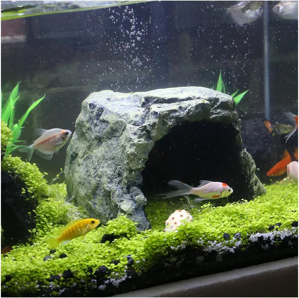 Official Reptile Rock Hide Cave – World 9.99 Mall Reptile Rock Hide Habitat Decoration Natural Non-Toxic Made of Resin Hideout for Small Lizards Turtles Reptiles Amphibians Fish Practical