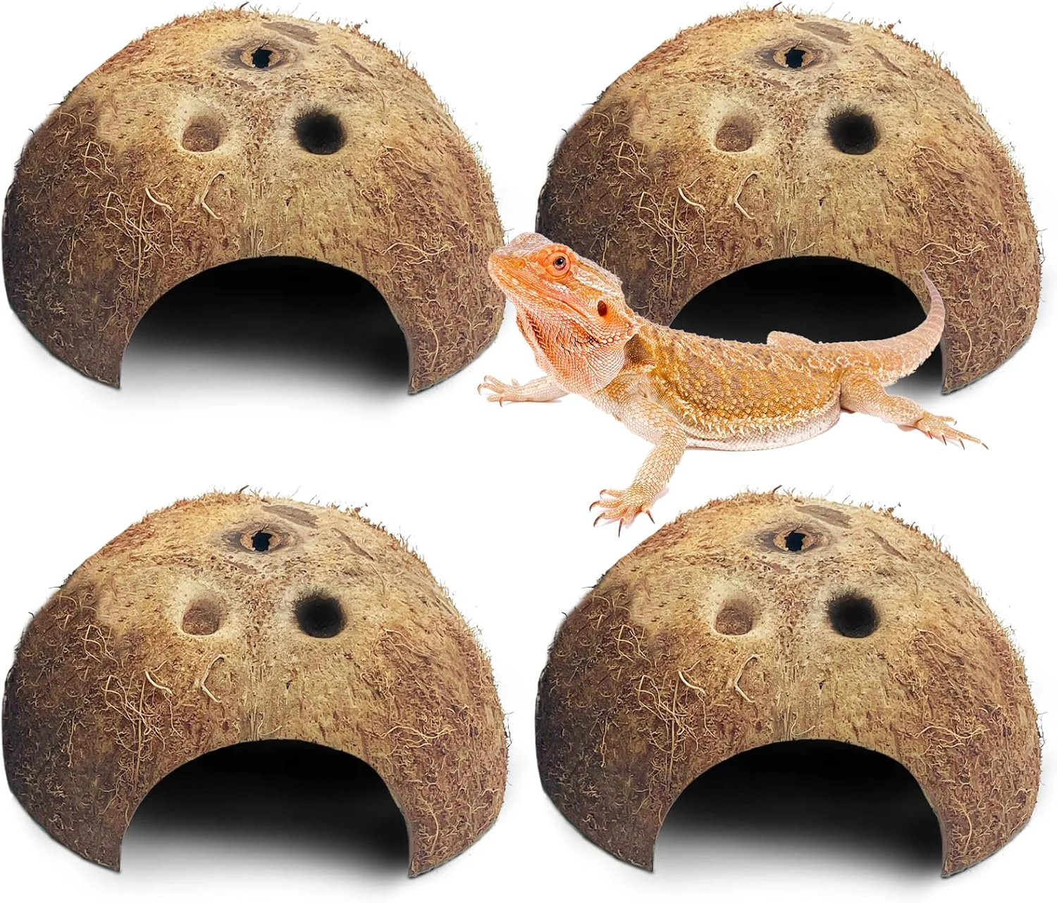 Fine PINVNBY Natural Coconut Reptile Hideouts Lizard Coco Hut Hermit Crab Hut Aquarium Fish Hide Cave for Small Reptile Crested Gecko Leopard Gecko Spider Snail Climber Toys 4 PCS Natural Surface Reliable