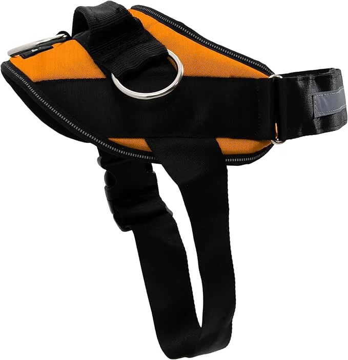 Secure ShawnCo Essential Dog Harness No-Pull Pet Vest with 3 Leash Clips No Choke Reflective Adjustable and Padded for Easy Walking and Training for Small Medium and Large Dogs Sunset Orange M About ThisOverview Elegant
