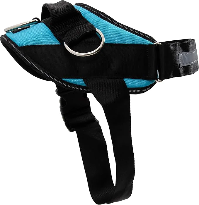 Exceptional ShawnCo Essential Dog Harness No-Pull Pet Vest with 3 Leash Clips No Choke Reflective Adjustable and Padded for Easy Walking and Training for Small Medium and Large Dogs Oceanic Blue XL About ThisOverview Fast