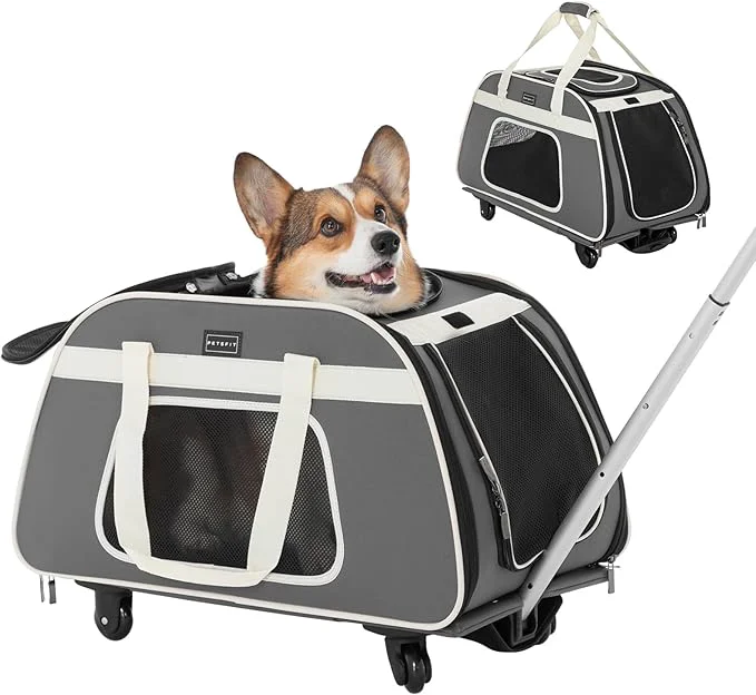 Luxury PETSFIT Large Pet Carrier with Wheels Designed for 2 Small Dogs Multiple Kittens Medium Dogs with Adjustable Safety Rope Waterproof Bottom 𝑵𝒐𝒕 𝒂𝒊𝒓𝒍𝒊𝒏𝒆 𝒂𝒑𝒑𝒓𝒐𝒗𝒆𝒅 About ThisOverview Practical