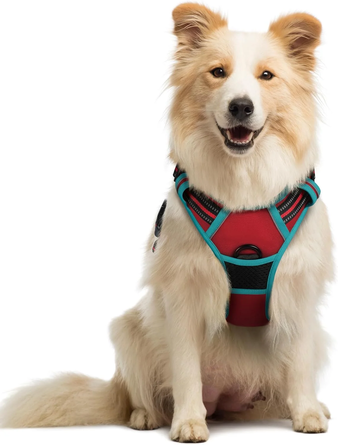 Smart rabbitgoo Dog Harness No Pull with 2 Leash Clips Adjustable Soft Padded Reflective Oxford No Choke Pet Vest with Easy Control Handle for Medium Sized Dogs Red Teal M Authentic
