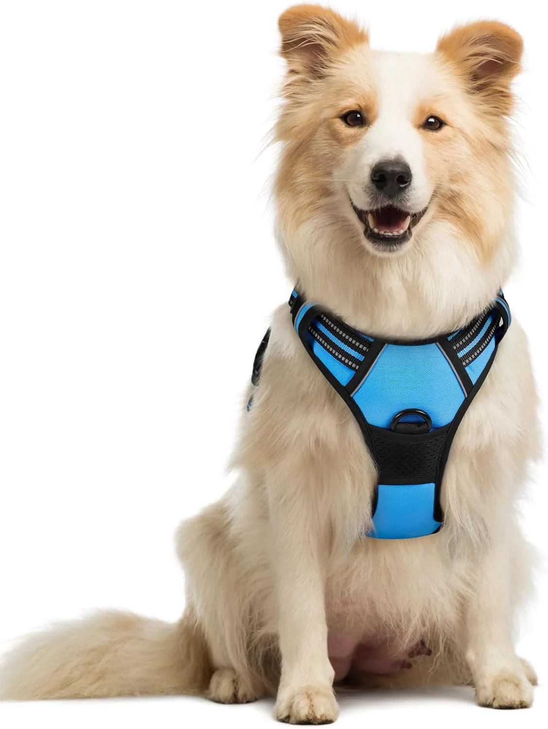 Crafted rabbitgoo Dog Harness No Pull with 2 Leash Clips Adjustable Soft Padded Reflective Oxford No Choke Pet Vest with Easy Control Handle for Medium Sized Dogs Blue M Recyclable